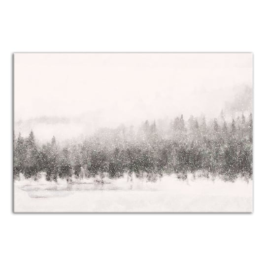 Calm Snowy Trees 36x24 Canvas Wall Art